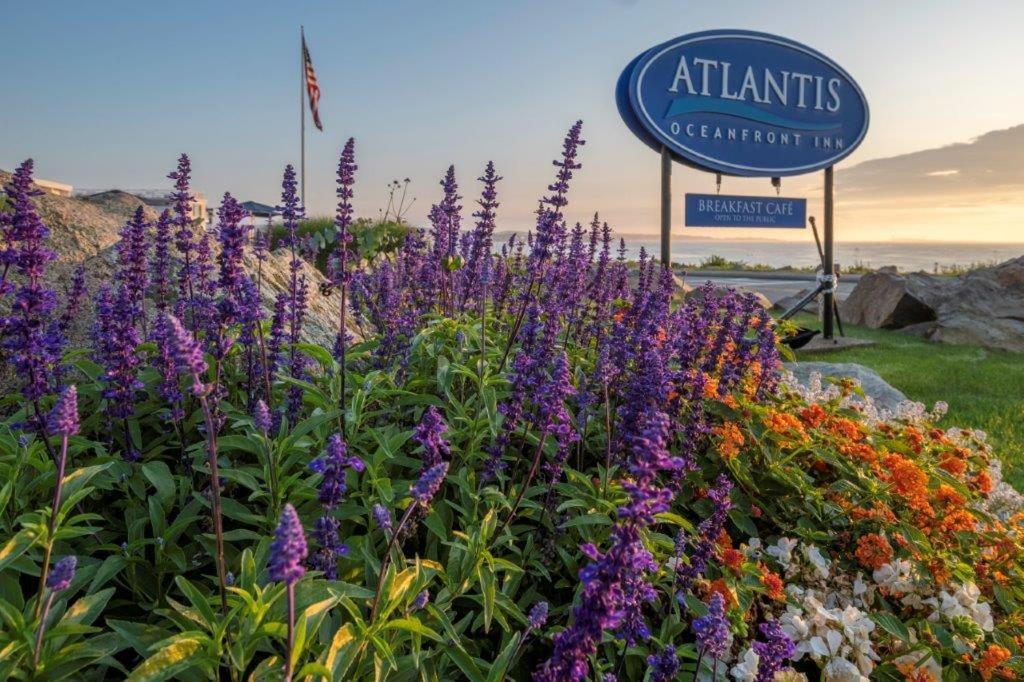 Atlantis Oceanfront Inn Gloucester Exterior photo